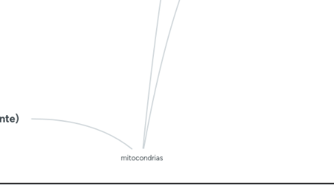 Mind Map: mitocondrias