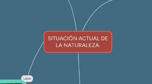 Mind Map: SITUACIÓN ACTUAL DE LA NATURALEZA.