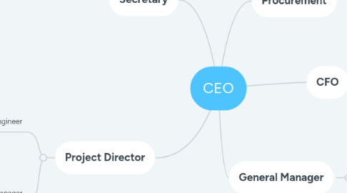 Mind Map: CEO