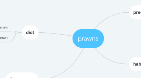 Mind Map: prawns