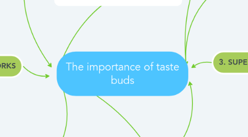 Mind Map: The importance of taste buds