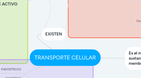 Mind Map: TRANSPORTE CELULAR