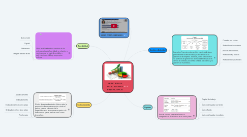 Mind Map: PRINCIPALES INDICADORES FINANCIEROS