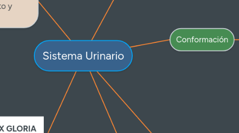 Mind Map: Sistema Urinario