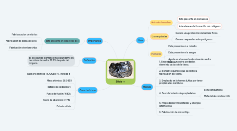 Mind Map: Silicio