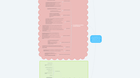 Mind Map: Los receptores en el sistema nervioso autónomo y sus neurotransmisores.