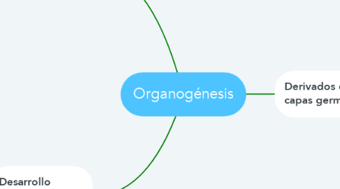 Mind Map: Organogénesis
