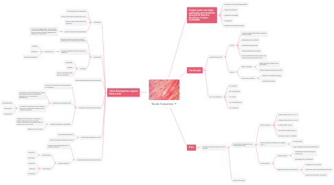 Mind Map: Tecido Conjuntivo