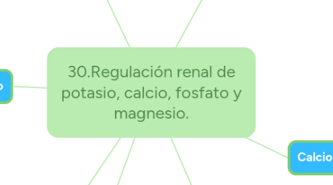 Mind Map: 30.Regulación renal de potasio, calcio, fosfato y magnesio.