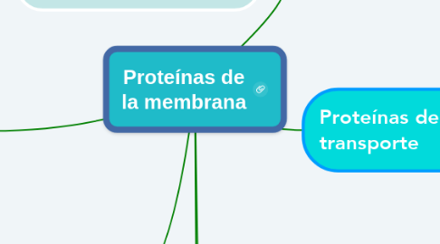 Mind Map: Proteínas de la membrana