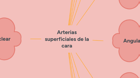 Mind Map: Arterias superficiales de la cara