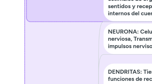 Mind Map: RESUMEN DE LA 1RA Y 2DA UNIDAD FISIOLOGIA HUMANA