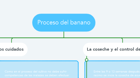 Mind Map: Proceso del banano