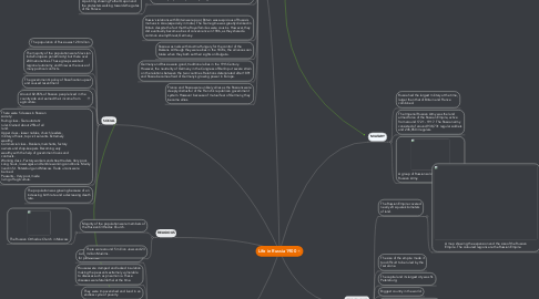 Mind Map: Life in Russia 1900
