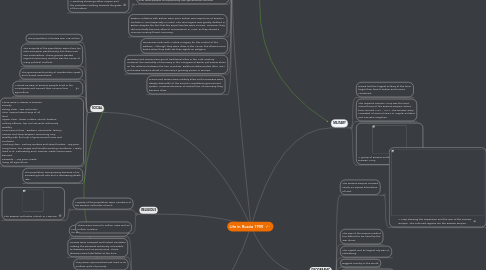 Mind Map: Life in Russia 1900