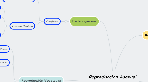 Mind Map: Reproducción Asexual