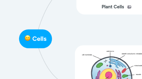 Mind Map: Cells