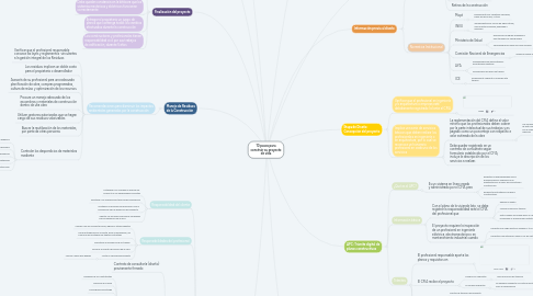 Mind Map: 10 pasos para construir su proyecto de vida