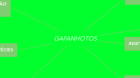 Mind Map: GAFANHOTOS