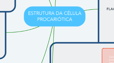 Mind Map: ESTRUTURA DA CÉLULA PROCARIÓTICA