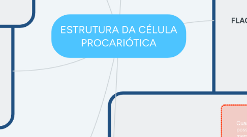 Mind Map: ESTRUTURA DA CÉLULA PROCARIÓTICA