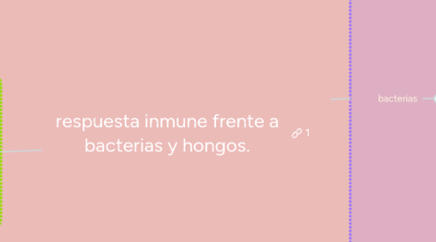 Mind Map: respuesta inmune frente a bacterias y hongos.