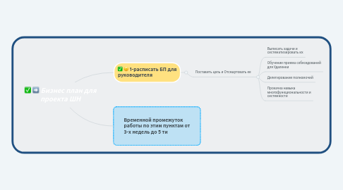 Mind Map: Бизнес план для проекта ШН