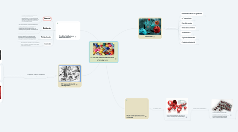 Mind Map: El uso de fármacos durante el embarazo