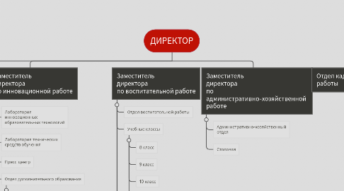 Mind Map: ДИРЕКТОР