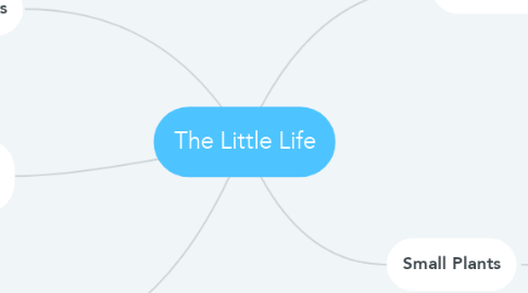 Mind Map: The Little Life