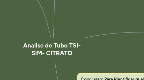 Mind Map: Analise de Tubo TSI- SIM- CITRATO