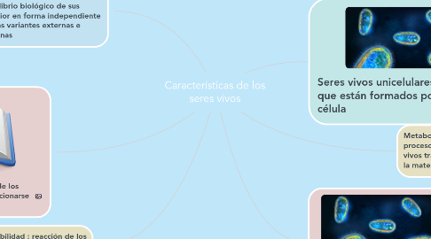 Mind Map: Características de los seres vivos