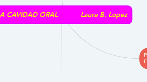 Mind Map: LA CAVIDAD ORAL           Laura B. Lopez