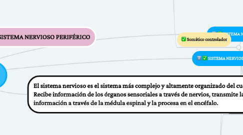 Mind Map: SISTEMA NERVIOSO