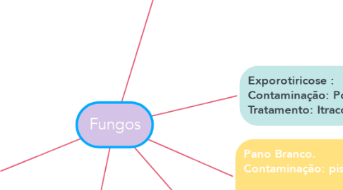 Mind Map: Fungos