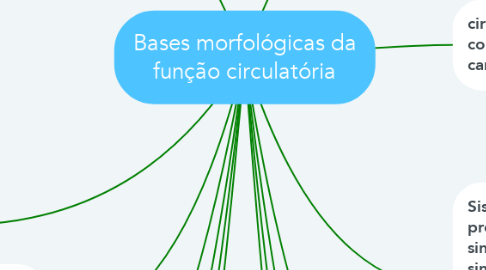 Mind Map: Bases morfológicas da função circulatória
