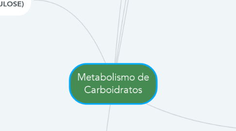 Mind Map: Metabolismo de Carboidratos