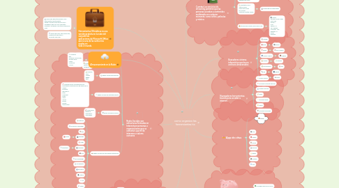 Mind Map: como organizo las herramientas tic