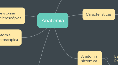 Mind Map: Anatomia