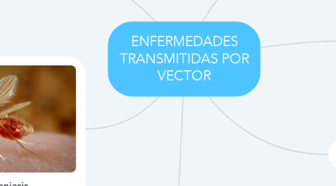 Mind Map: ENFERMEDADES TRANSMITIDAS POR VECTOR