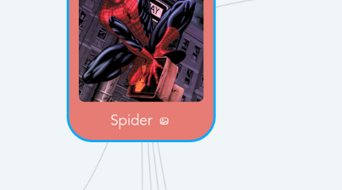 Mind Map: Spider