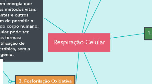 Mind Map: Respiração Celular