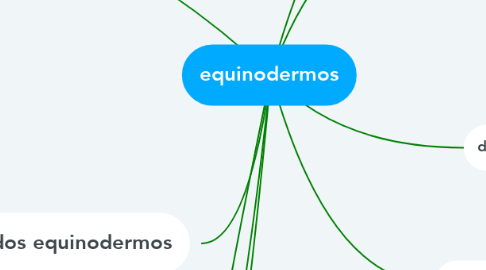 Mind Map: equinodermos