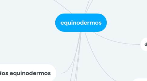 Mind Map: equinodermos