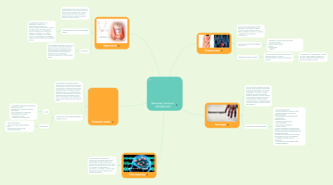 Mind Map: Síntomas Urinarios URGENCIAS
