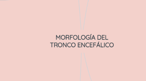 Mind Map: MORFOLOGÍA DEL TRONCO ENCEFÁLICO