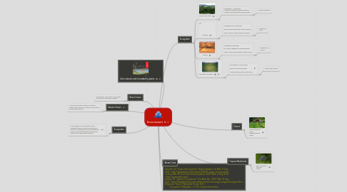 Mind Map: Environment