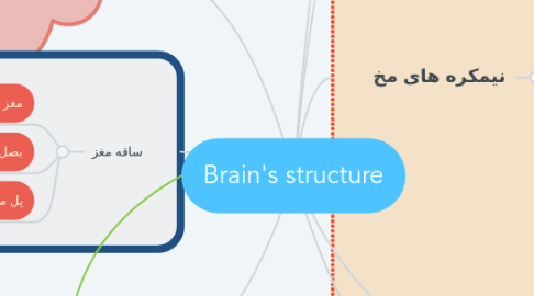 Mind Map: Brain's structure