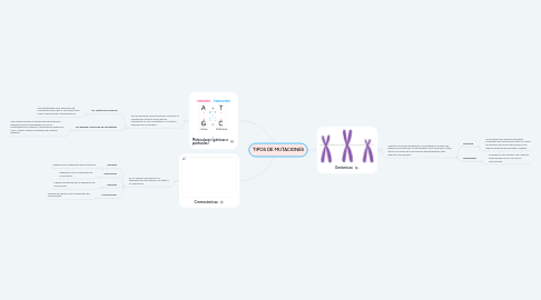 Mind Map: TIPOS DE MUTACIONES