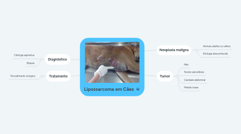 Mind Map: Lipossarcoma em Cães